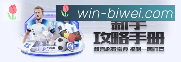 平台使命图